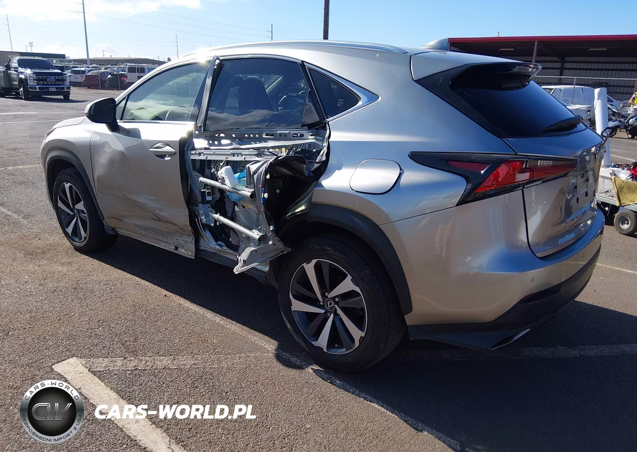 2019 Lexus Nx 300 F Sport VIN:JTJYARBZ9K2122845 - 3