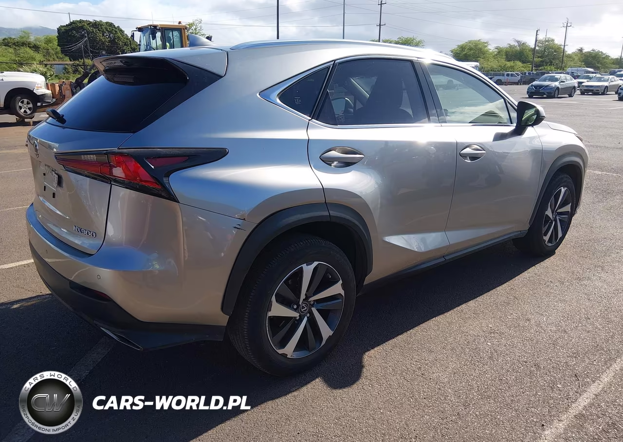 2019 Lexus Nx 300 F Sport VIN:JTJYARBZ9K2122845 - 4