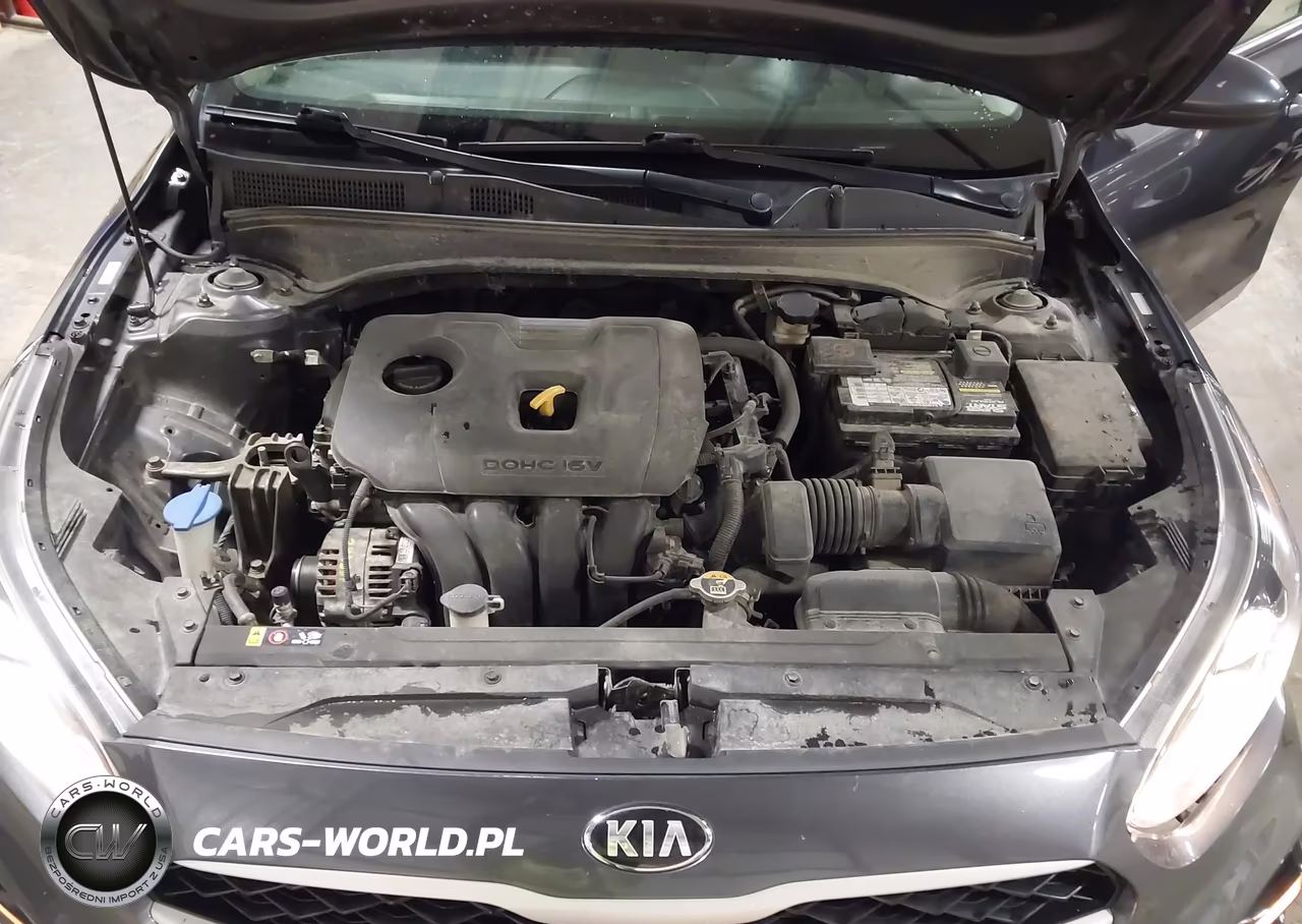 2019 Kia Forte Lxs VIN:3KPF24AD9KE061256 - 10