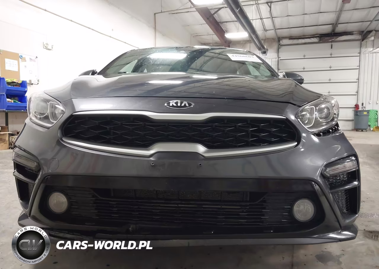 2019 Kia Forte Lxs VIN:3KPF24AD9KE061256 - 12