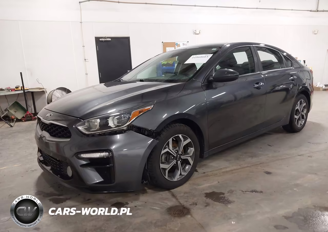 2019 Kia Forte Lxs VIN:3KPF24AD9KE061256 - 2