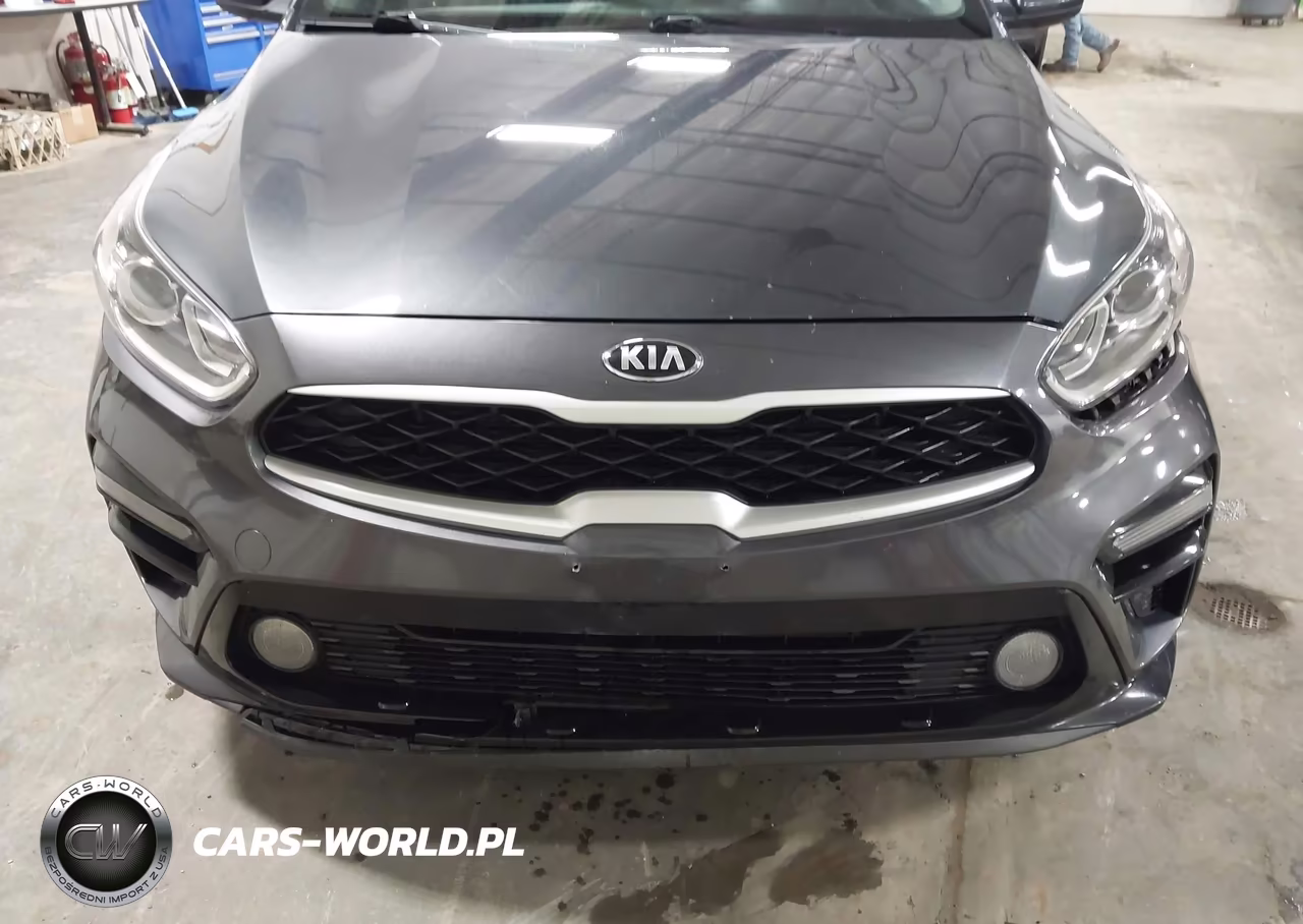 2019 Kia Forte Lxs VIN:3KPF24AD9KE061256 - 6