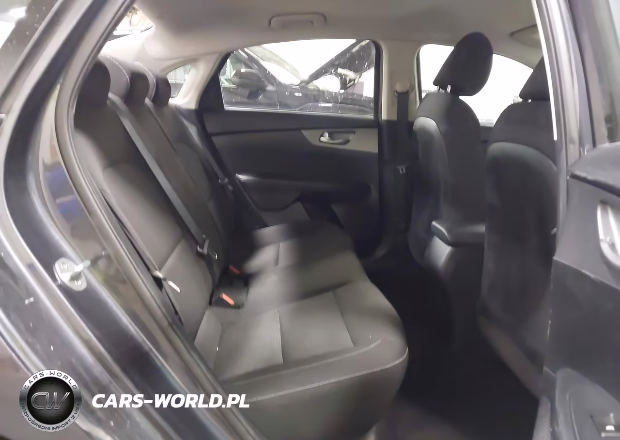 2019 Kia Forte Lxs VIN:3KPF24AD9KE061256 - 8