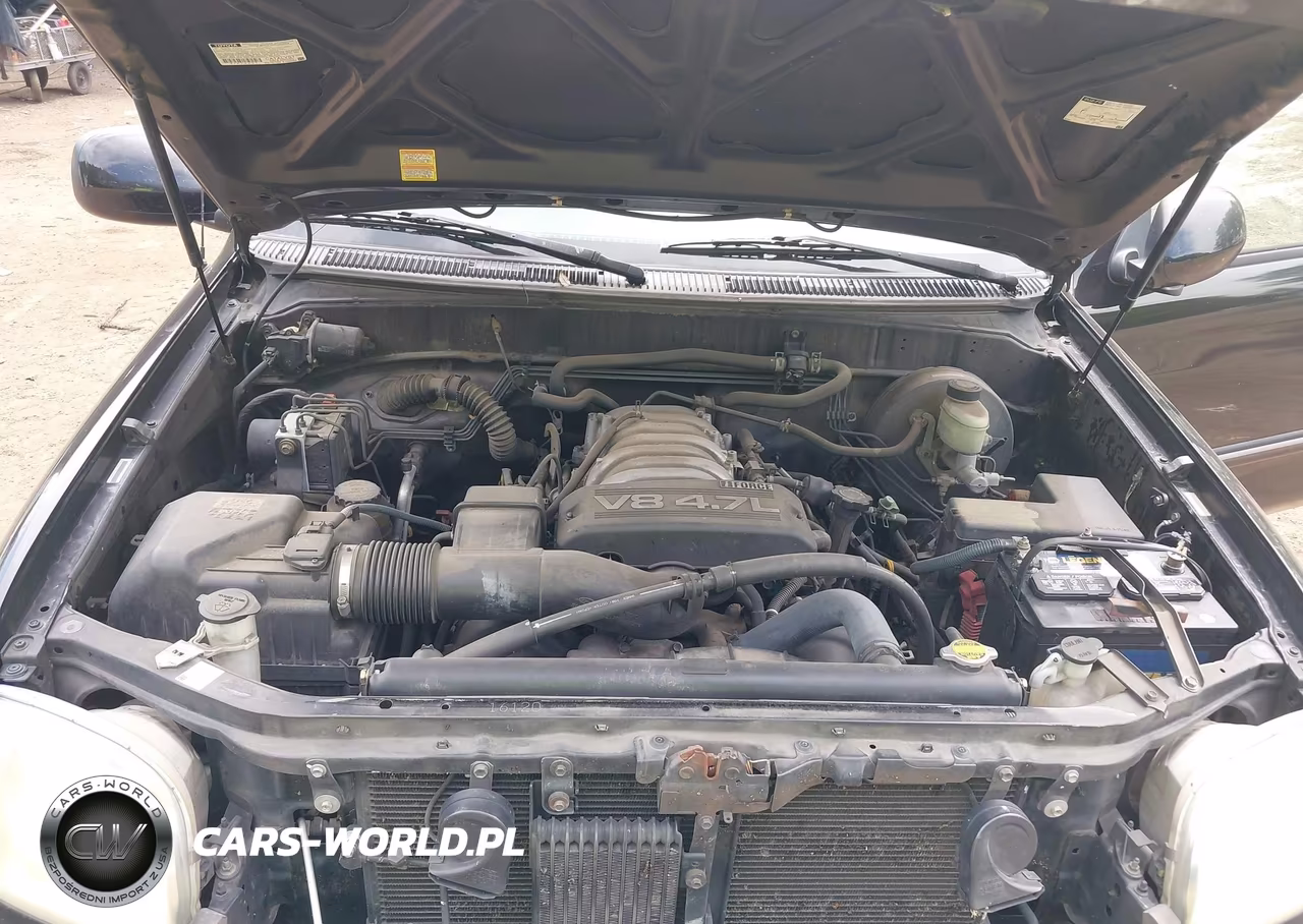 2003 Toyota Tundra Ltd V8 VIN:5TBRT38193S439043 - 10