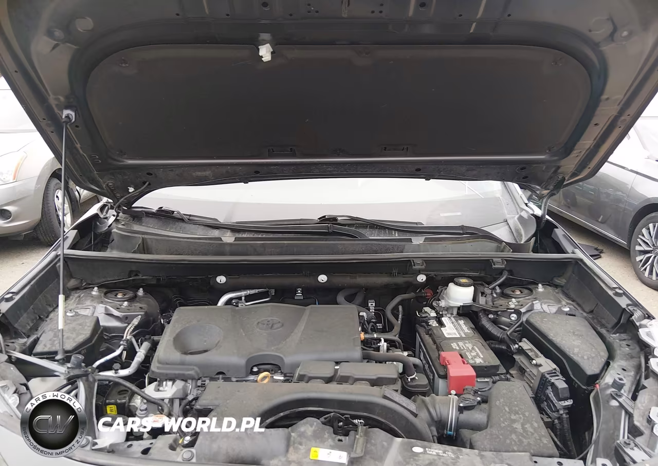 2021 Toyota Rav4 Xle VIN:2T3W1RFV1MC124215 - 10