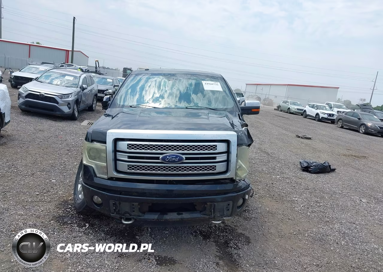 2014 Ford F-150 Platinum VIN:1FTFW1EF5EFB98431 - 12