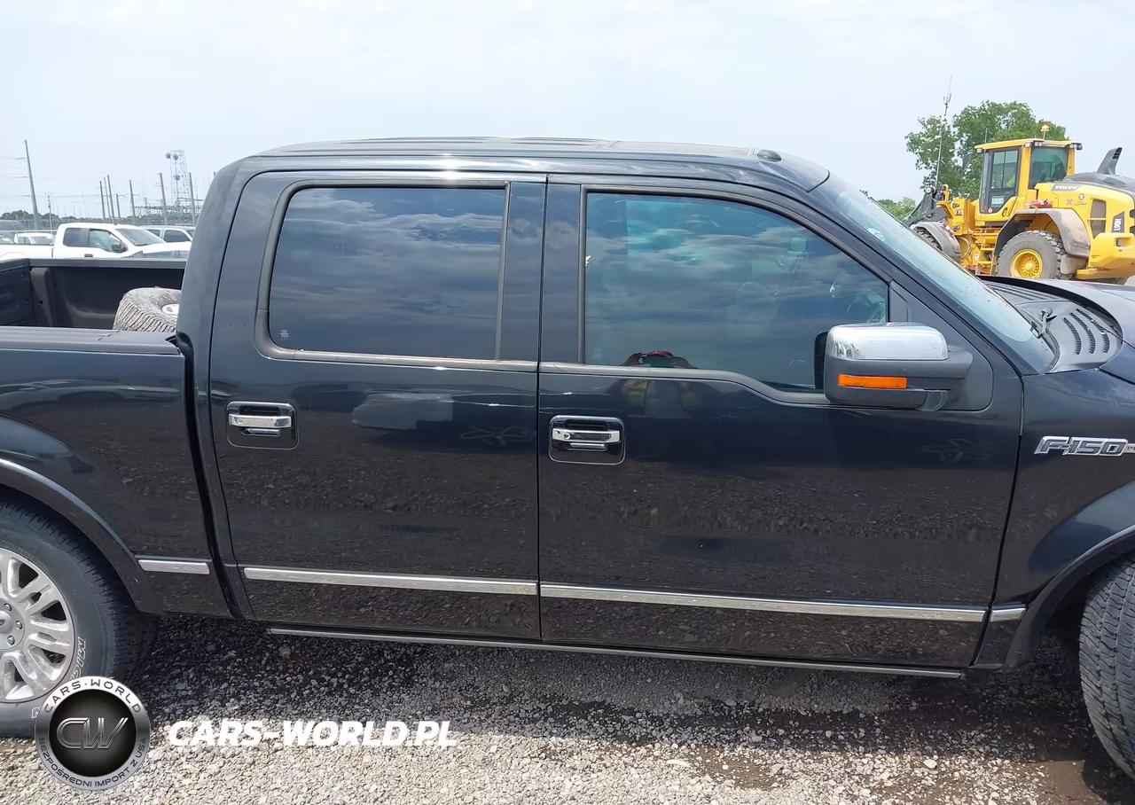 2014 Ford F-150 Platinum VIN:1FTFW1EF5EFB98431 - 13