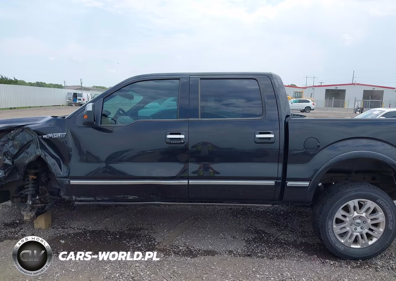 2014 Ford F-150 Platinum VIN:1FTFW1EF5EFB98431 - 14