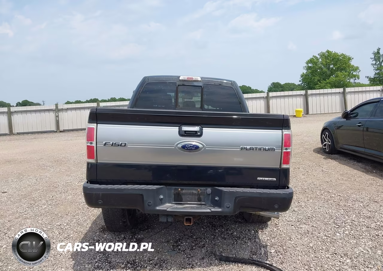 2014 Ford F-150 Platinum VIN:1FTFW1EF5EFB98431 - 16
