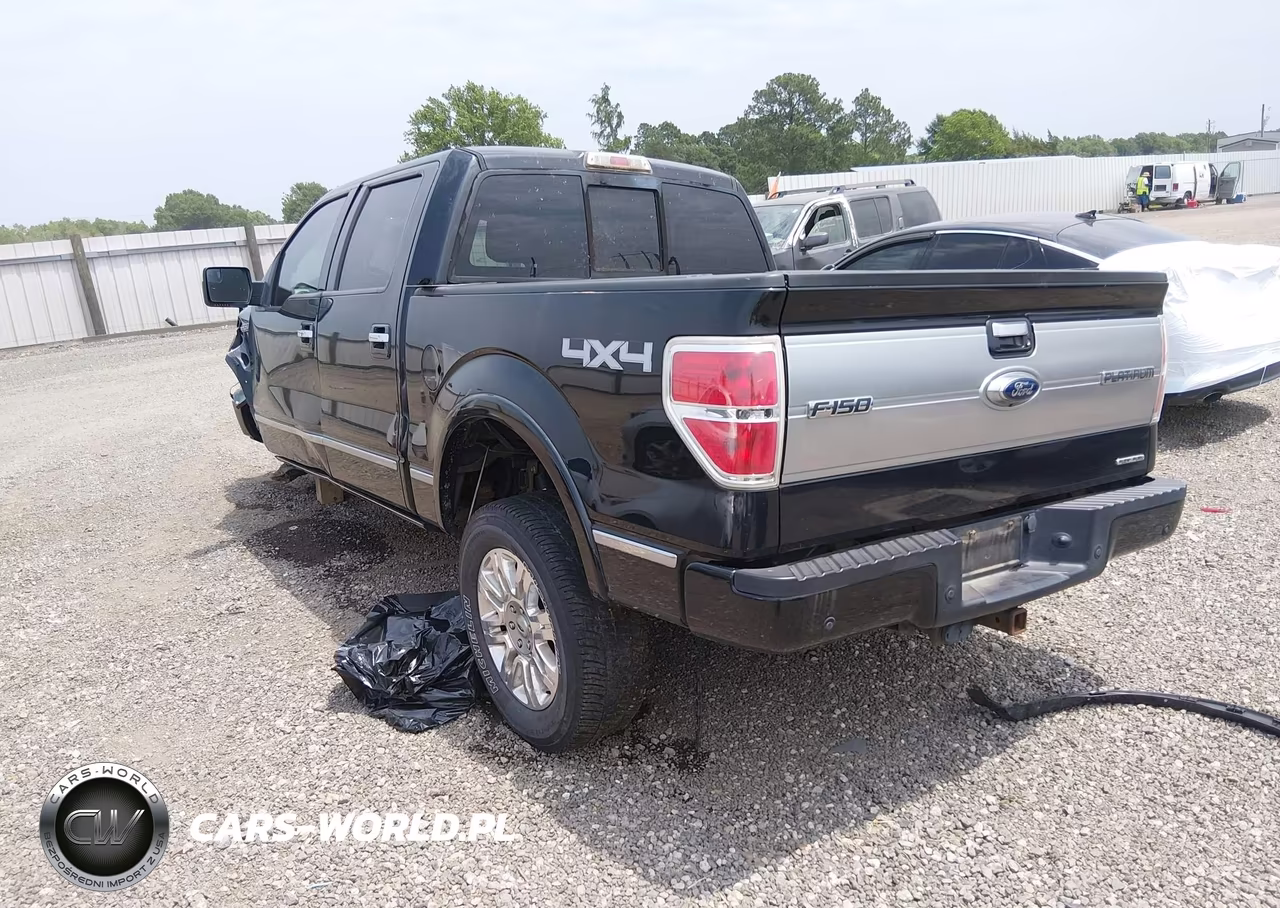 2014 Ford F-150 Platinum VIN:1FTFW1EF5EFB98431 - 3