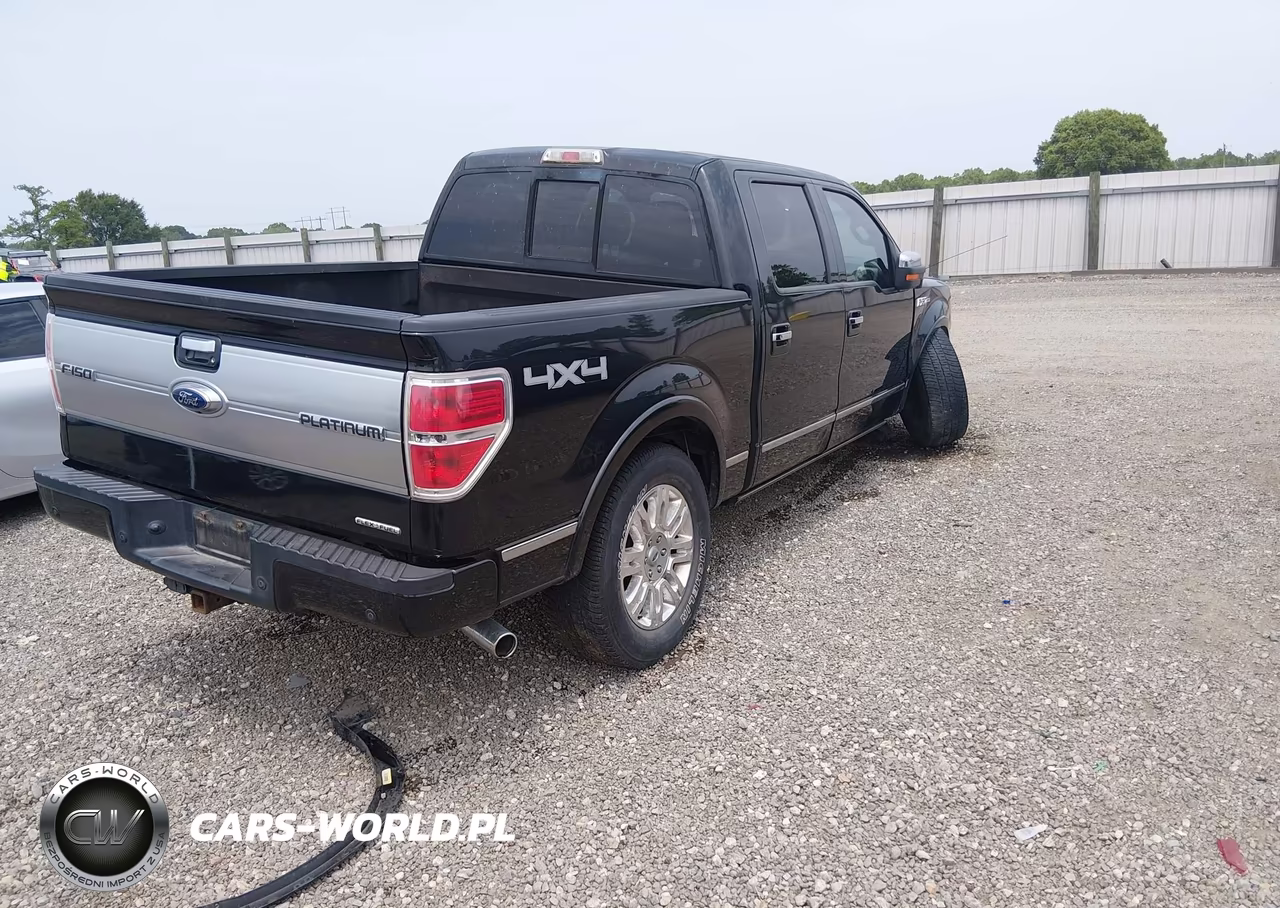 2014 Ford F-150 Platinum VIN:1FTFW1EF5EFB98431 - 4