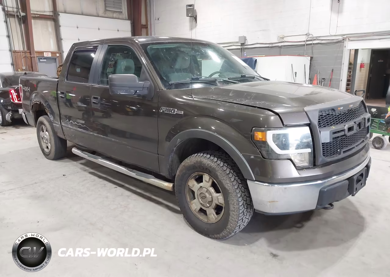 2009 Ford F-150 Fx4-King Ranch-Lariat-Platinum-Xl-Xlt