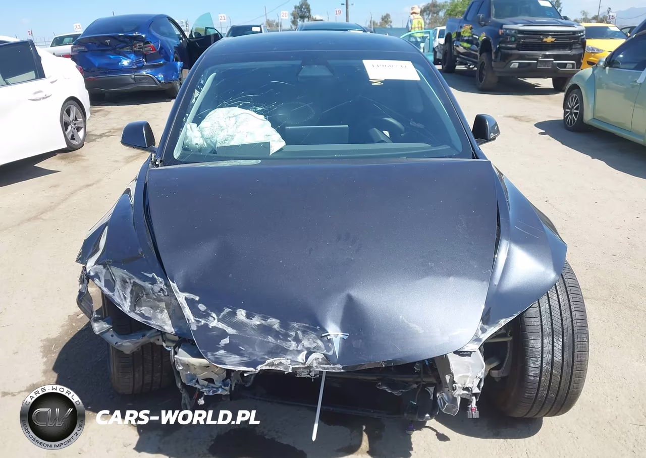 2025 Tesla Model 3 Long Range Rear-Wheel Drive-Standard Rear-Wheel Drive VIN:5YJ3E1EA9SF013033 - 11