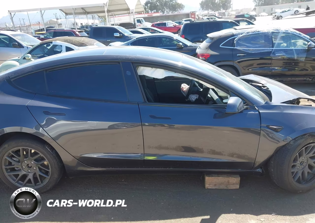 2025 Tesla Model 3 Long Range Rear-Wheel Drive-Standard Rear-Wheel Drive VIN:5YJ3E1EA9SF013033 - 12