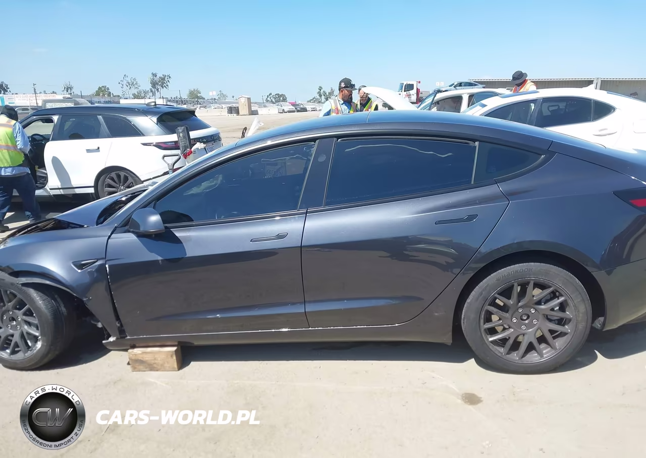 2025 Tesla Model 3 Long Range Rear-Wheel Drive-Standard Rear-Wheel Drive VIN:5YJ3E1EA9SF013033 - 13