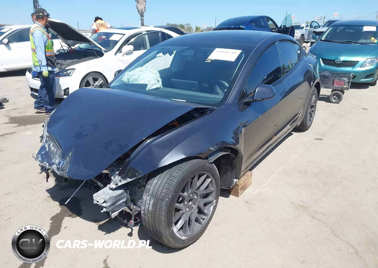 2025 Tesla Model 3 Long Range Rear-Wheel Drive-Standard Rear-Wheel Drive VIN:5YJ3E1EA9SF013033 - 2