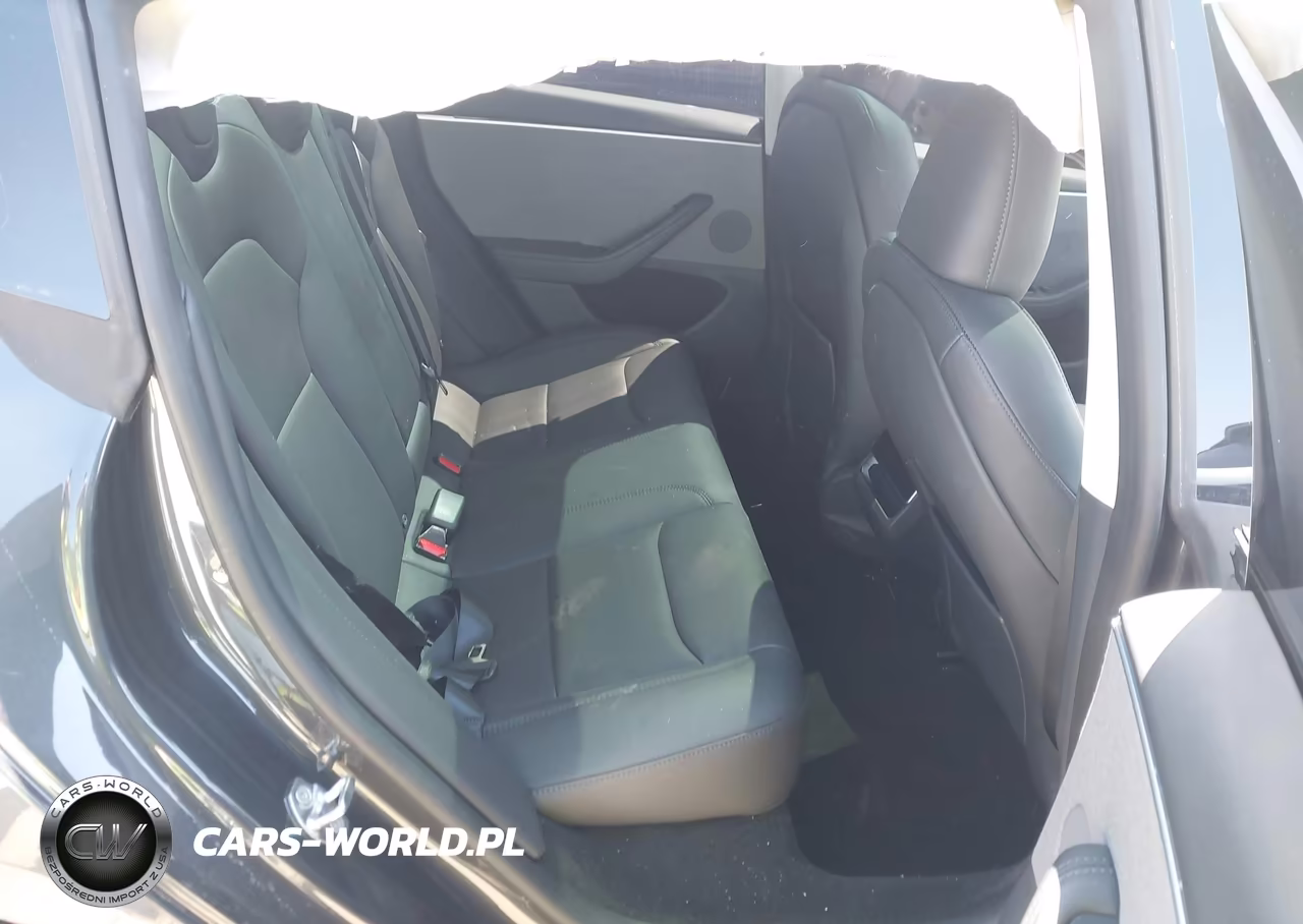 2025 Tesla Model 3 Long Range Rear-Wheel Drive-Standard Rear-Wheel Drive VIN:5YJ3E1EA9SF013033 - 8