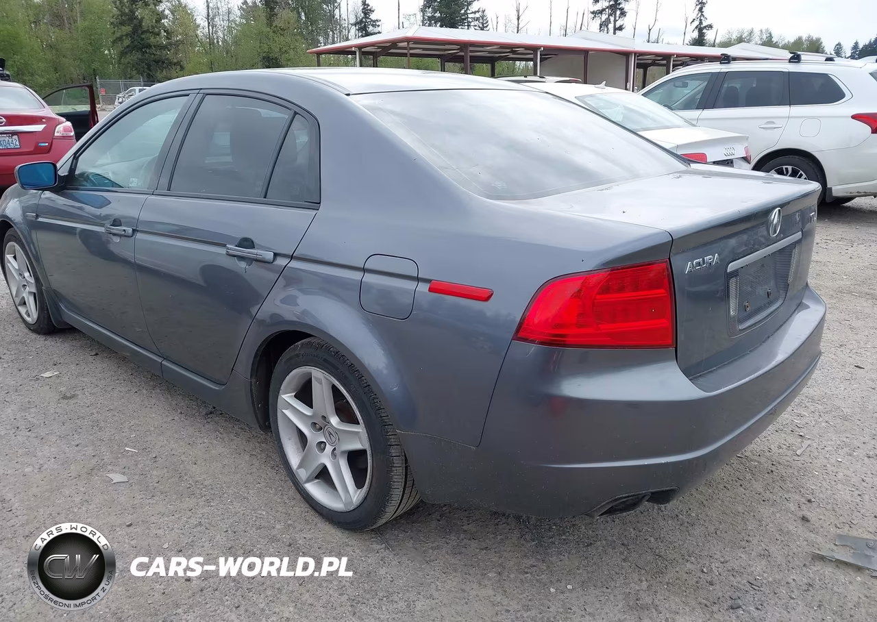 2006 Acura Tl VIN:19UUA66266A803605 - 3