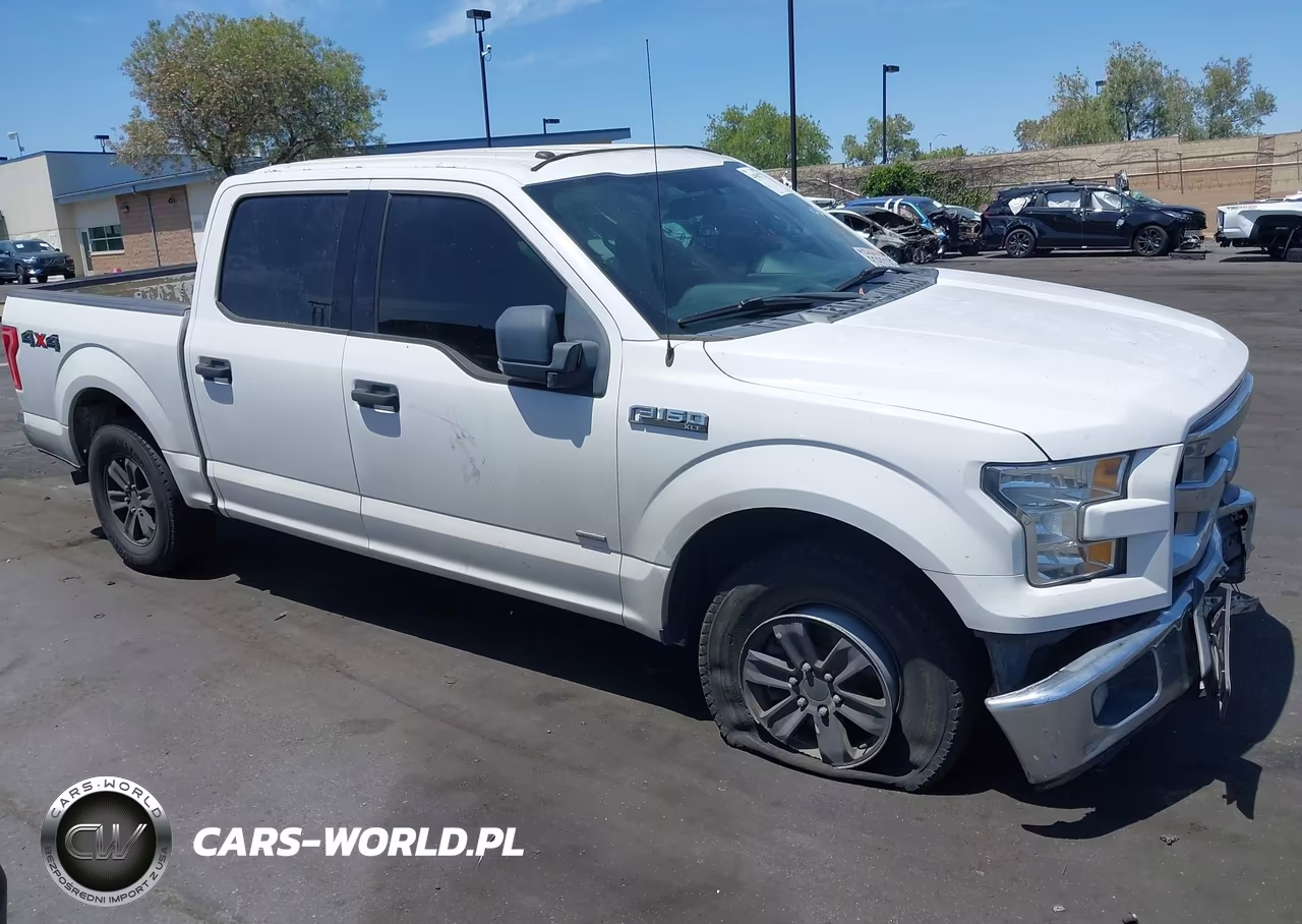 2017 Ford F-150 Xlt VIN:1FTEW1EPXHKC99335 - 19