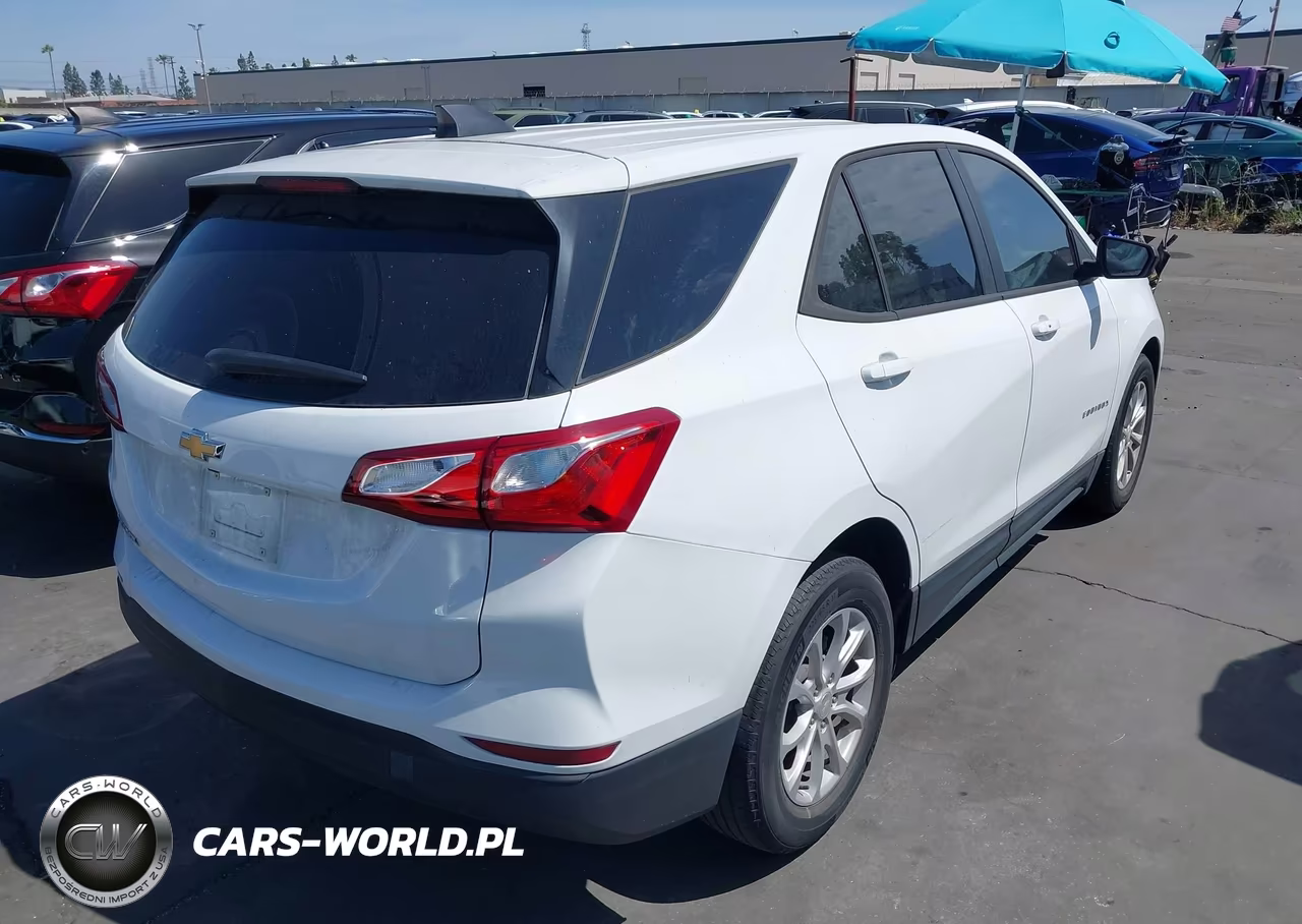 2020 Chevrolet Equinox Fwd Ls VIN:3GNAXHEV9LS685218 - 4