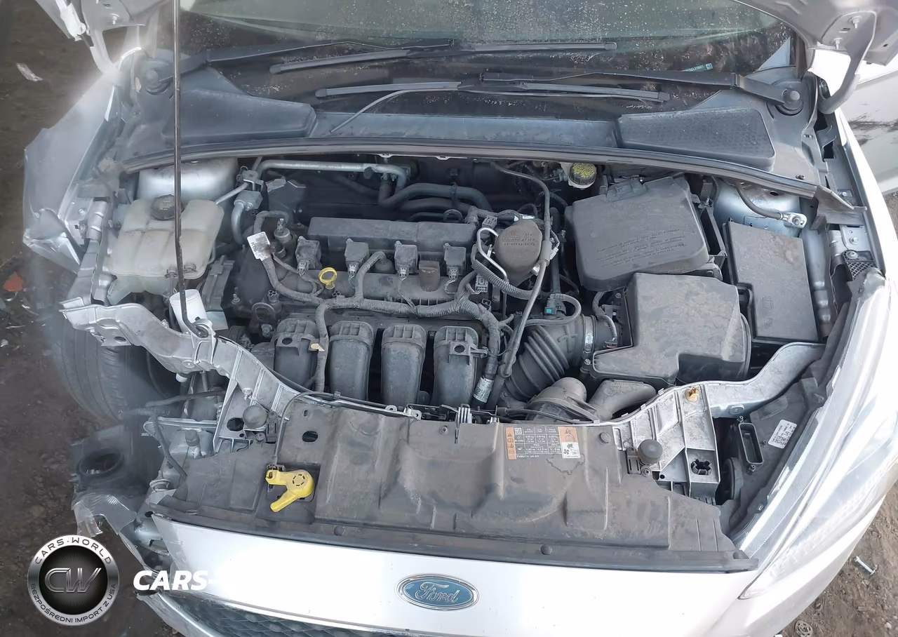2016 Ford Focus Se VIN:1FADP3F26GL319621 - 10