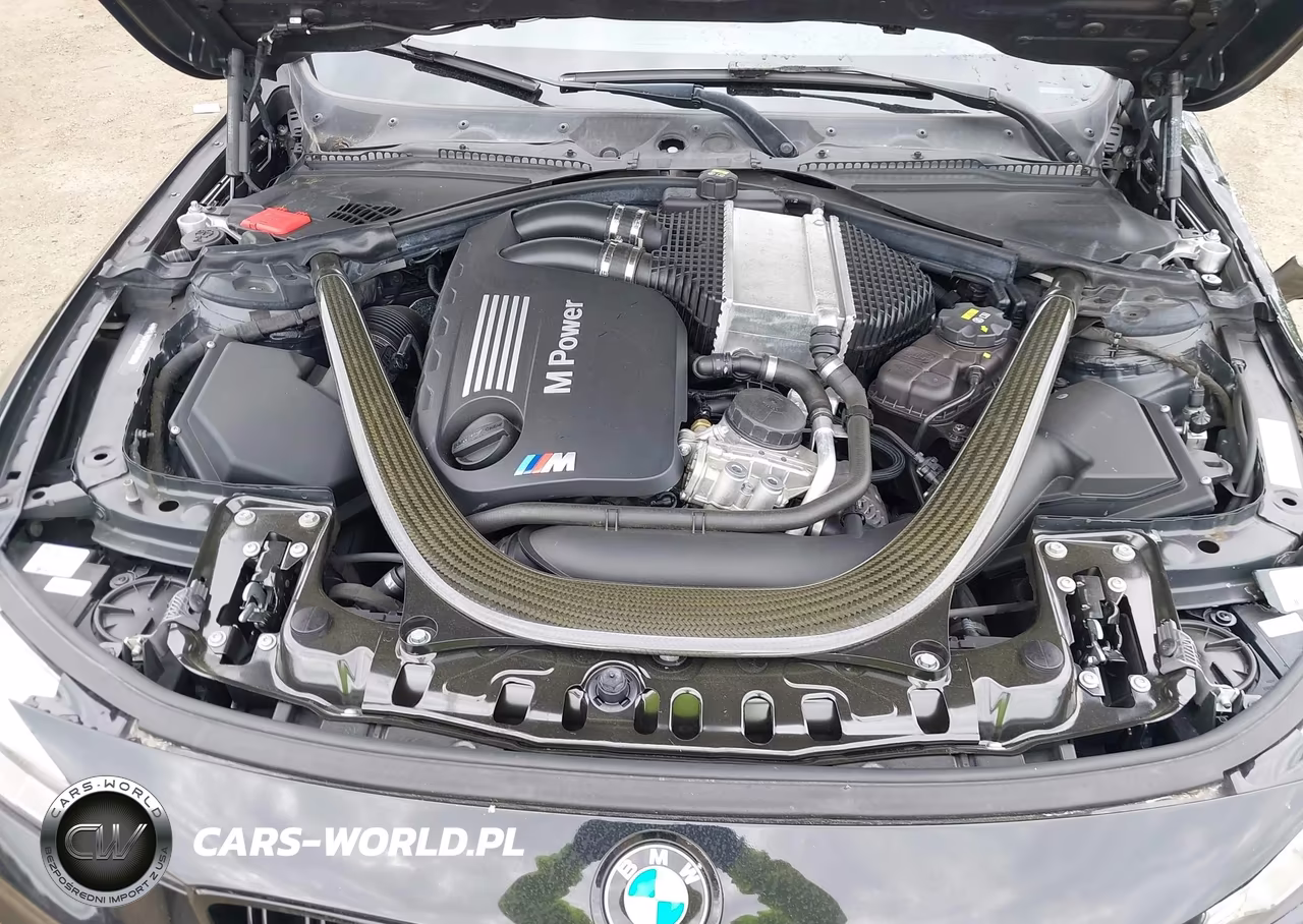 2015 BMW M4 VIN:WBS3R9C5XFK334590 - 10