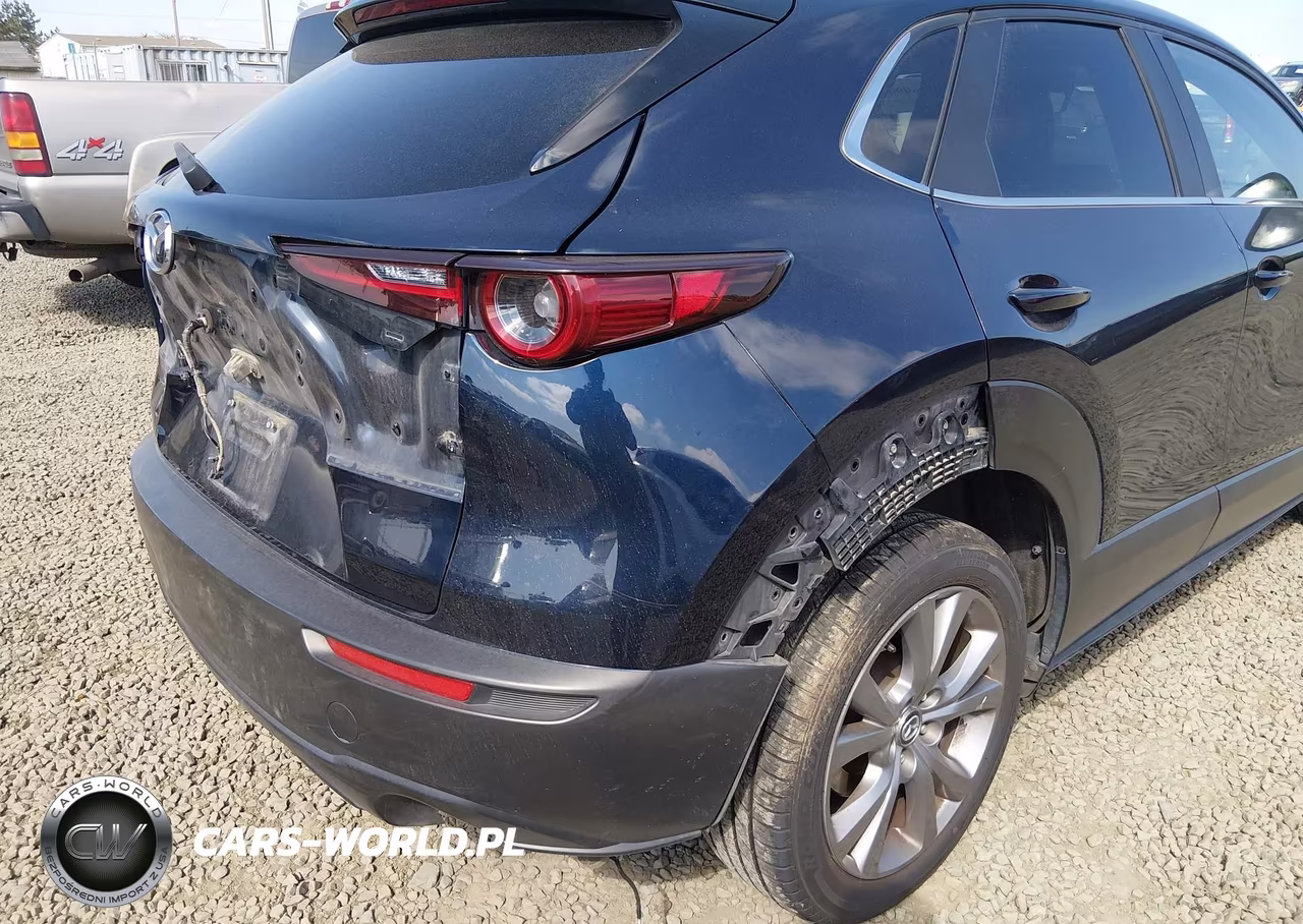 2021 Mazda Cx-30 Select VIN:3MVDMBBL3MM247975 - 19