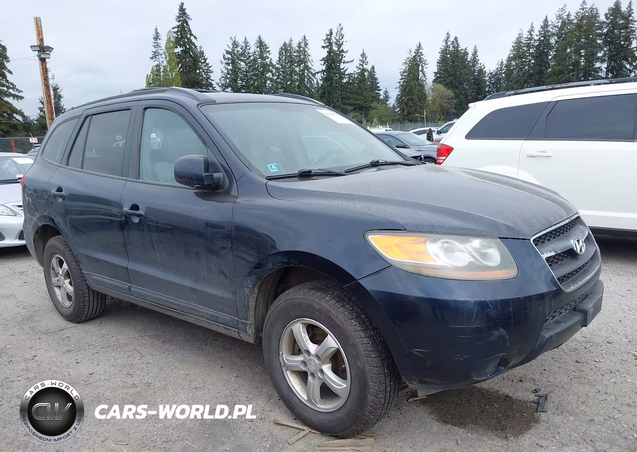 2007 Hyundai Santa Fe Gls