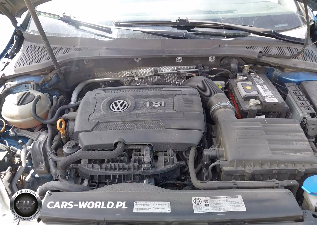 2016 Volkswagen Golf Tsi S 4-Door VIN:3VW217AU6GM063317 - 10