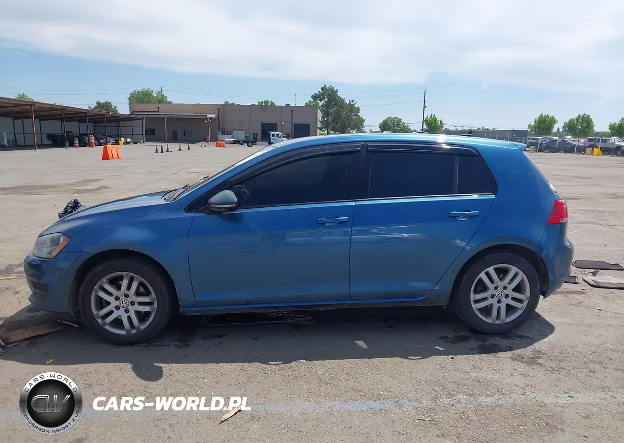 2016 Volkswagen Golf Tsi S 4-Door VIN:3VW217AU6GM063317 - 14
