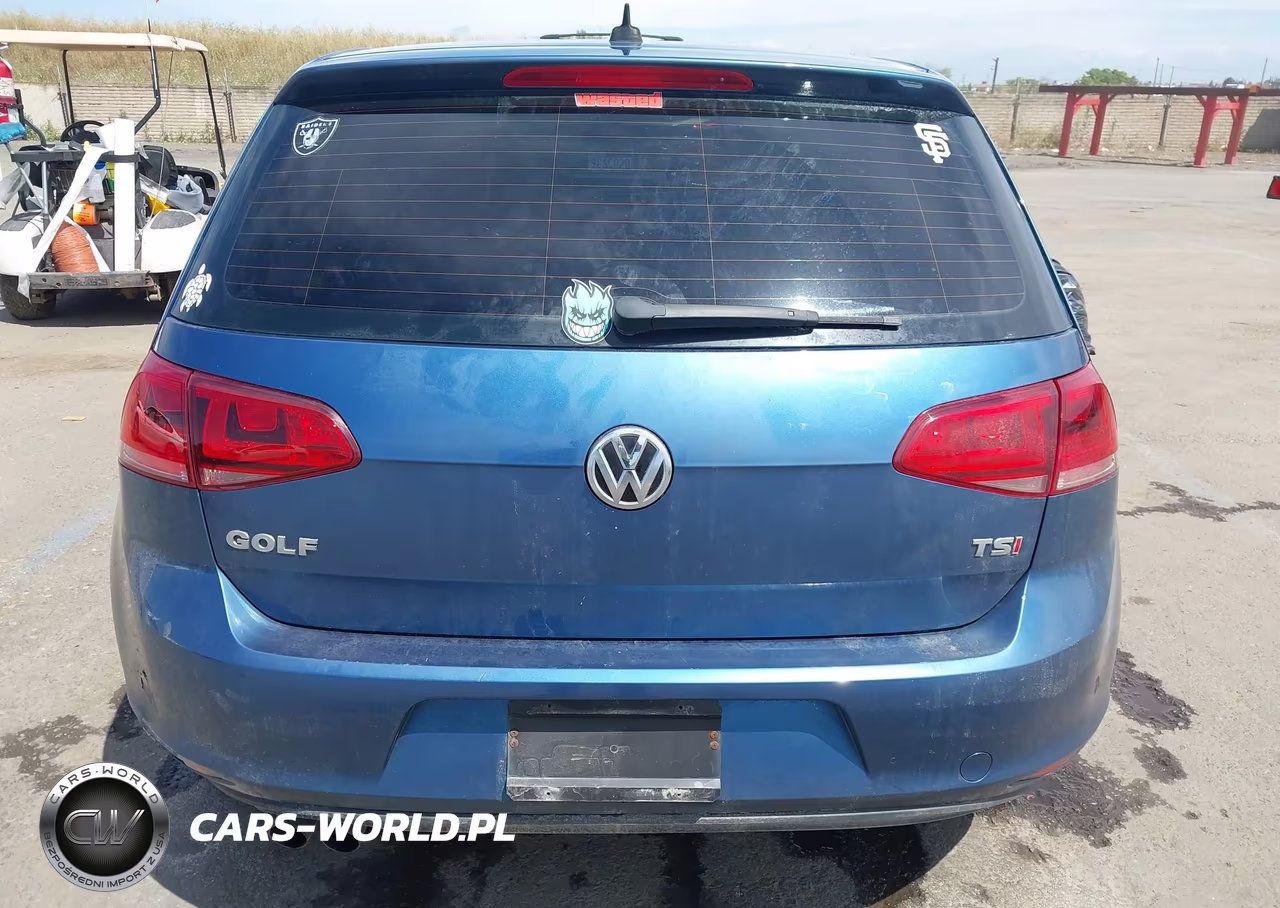 2016 Volkswagen Golf Tsi S 4-Door VIN:3VW217AU6GM063317 - 16