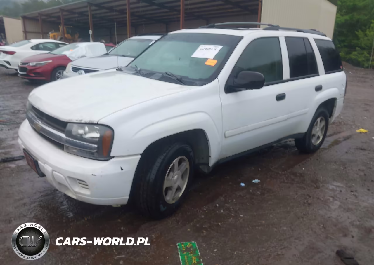 2006 Chevrolet Trailblazer Ls VIN:1GNDS13SX62305010 - 2