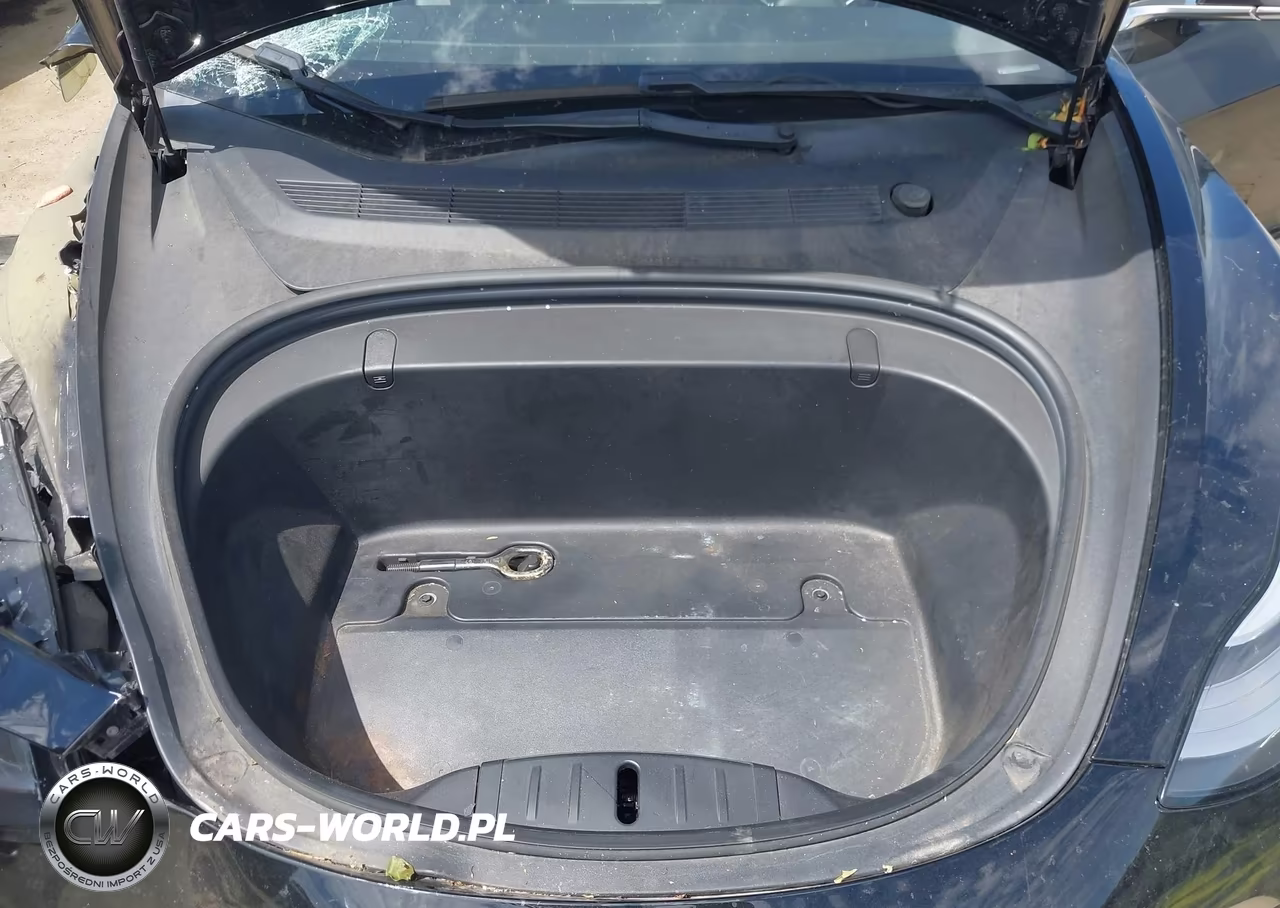 2019 Tesla Model 3 Long Range-Mid Range-Standard Range-Standard Range Plus VIN:5YJ3E1EA9KF398464 - 10