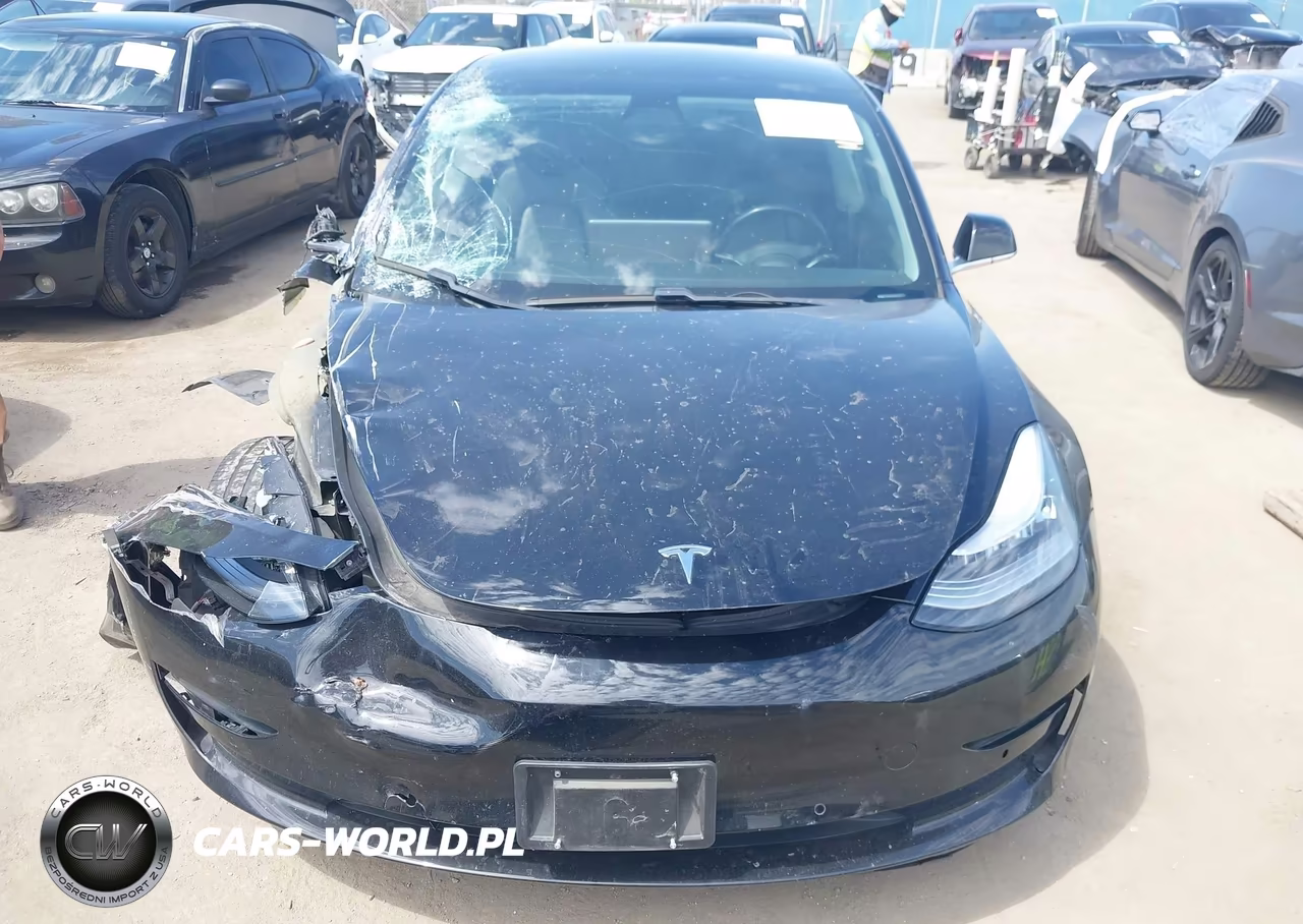 2019 Tesla Model 3 Long Range-Mid Range-Standard Range-Standard Range Plus VIN:5YJ3E1EA9KF398464 - 12