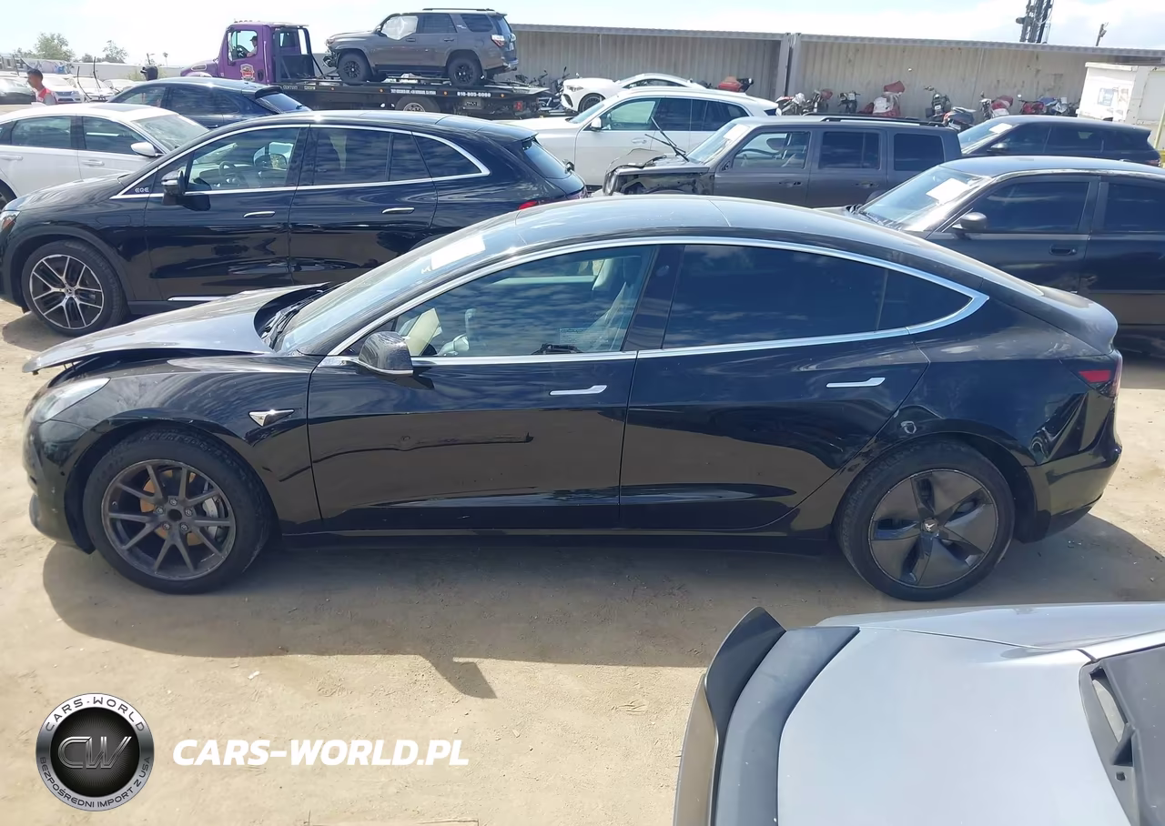 2019 Tesla Model 3 Long Range-Mid Range-Standard Range-Standard Range Plus VIN:5YJ3E1EA9KF398464 - 14