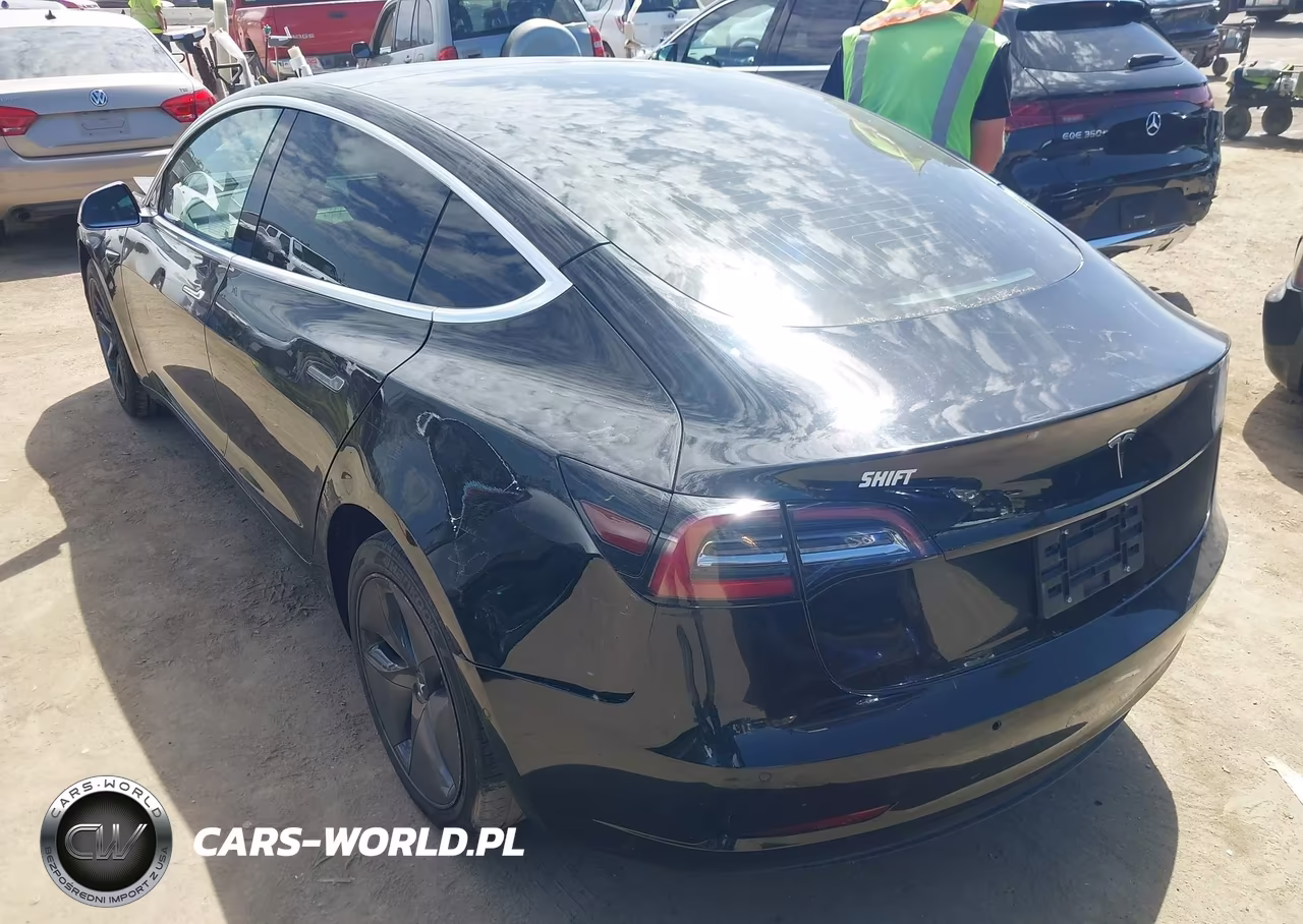 2019 Tesla Model 3 Long Range-Mid Range-Standard Range-Standard Range Plus VIN:5YJ3E1EA9KF398464 - 3