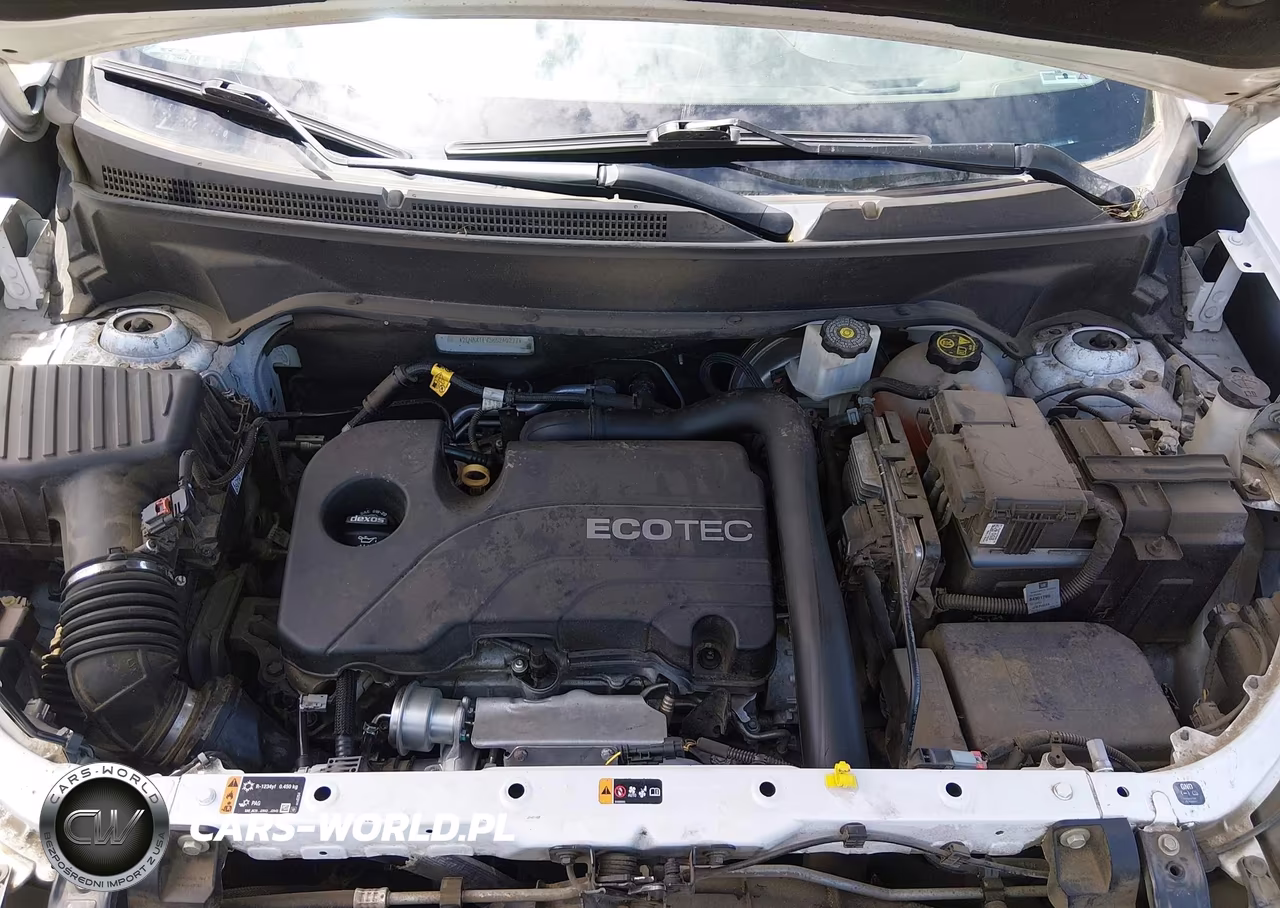 2019 Chevrolet Equinox Lt VIN:2GNAXTEV3K6240277 - 10