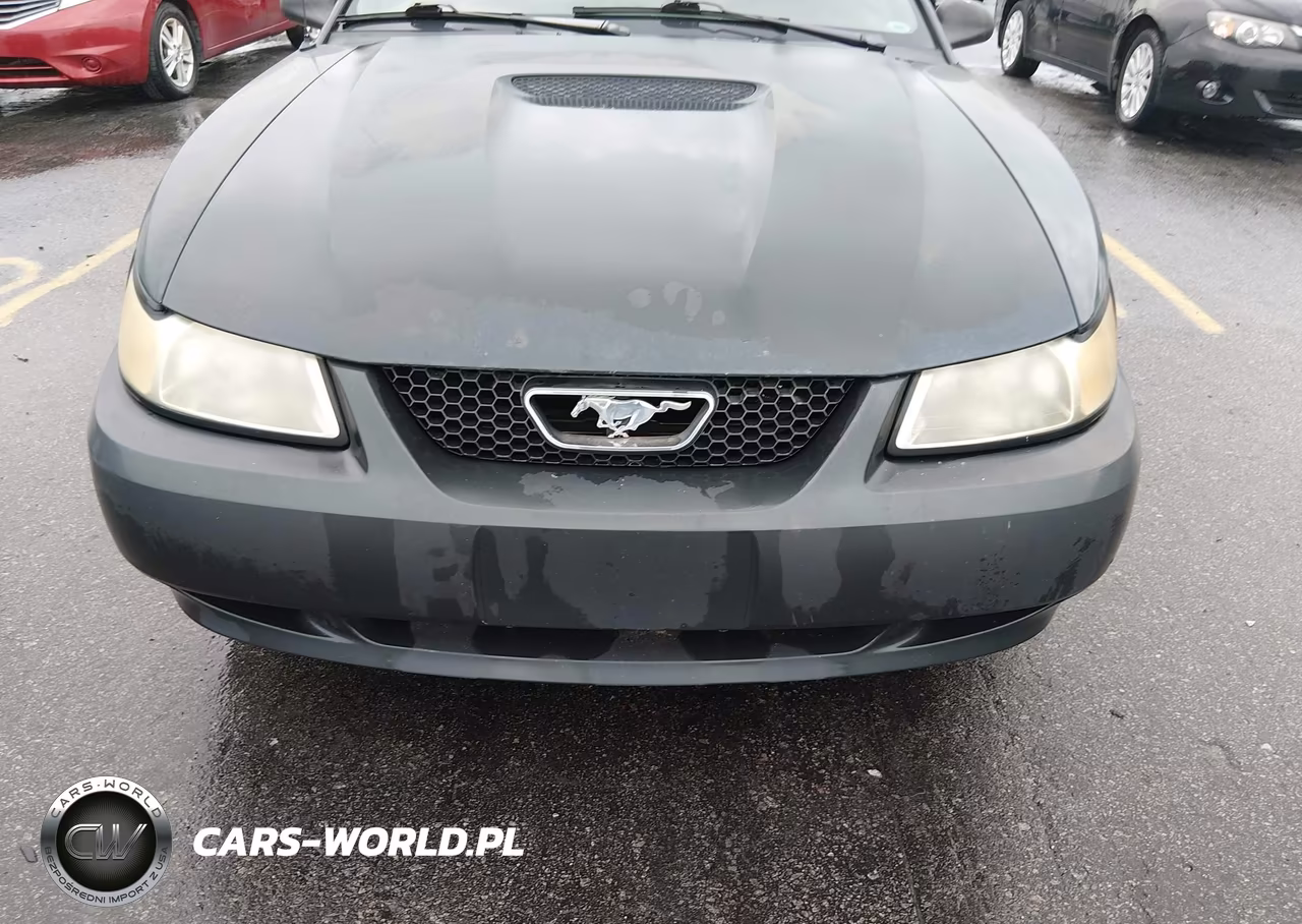 1999 Ford Mustang VIN:1FAFP4041XF220163 - 6