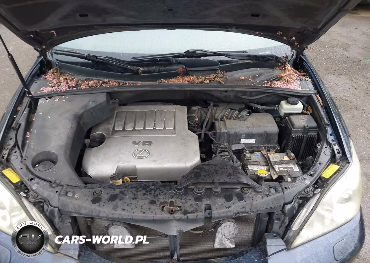 2007 Lexus Rx 350 VIN:2T2HK31U87C042086 - 10