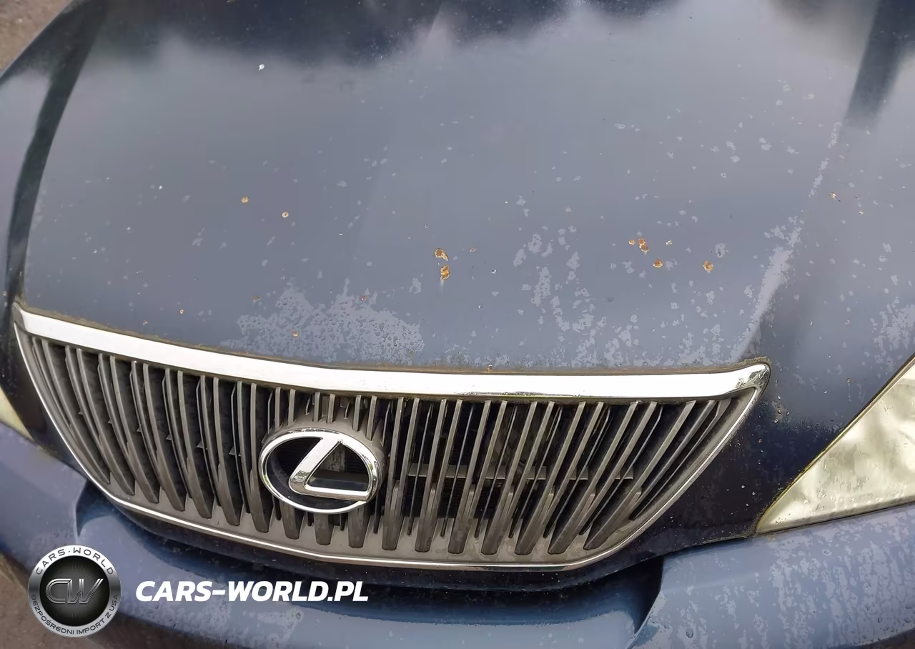 2007 Lexus Rx 350 VIN:2T2HK31U87C042086 - 6