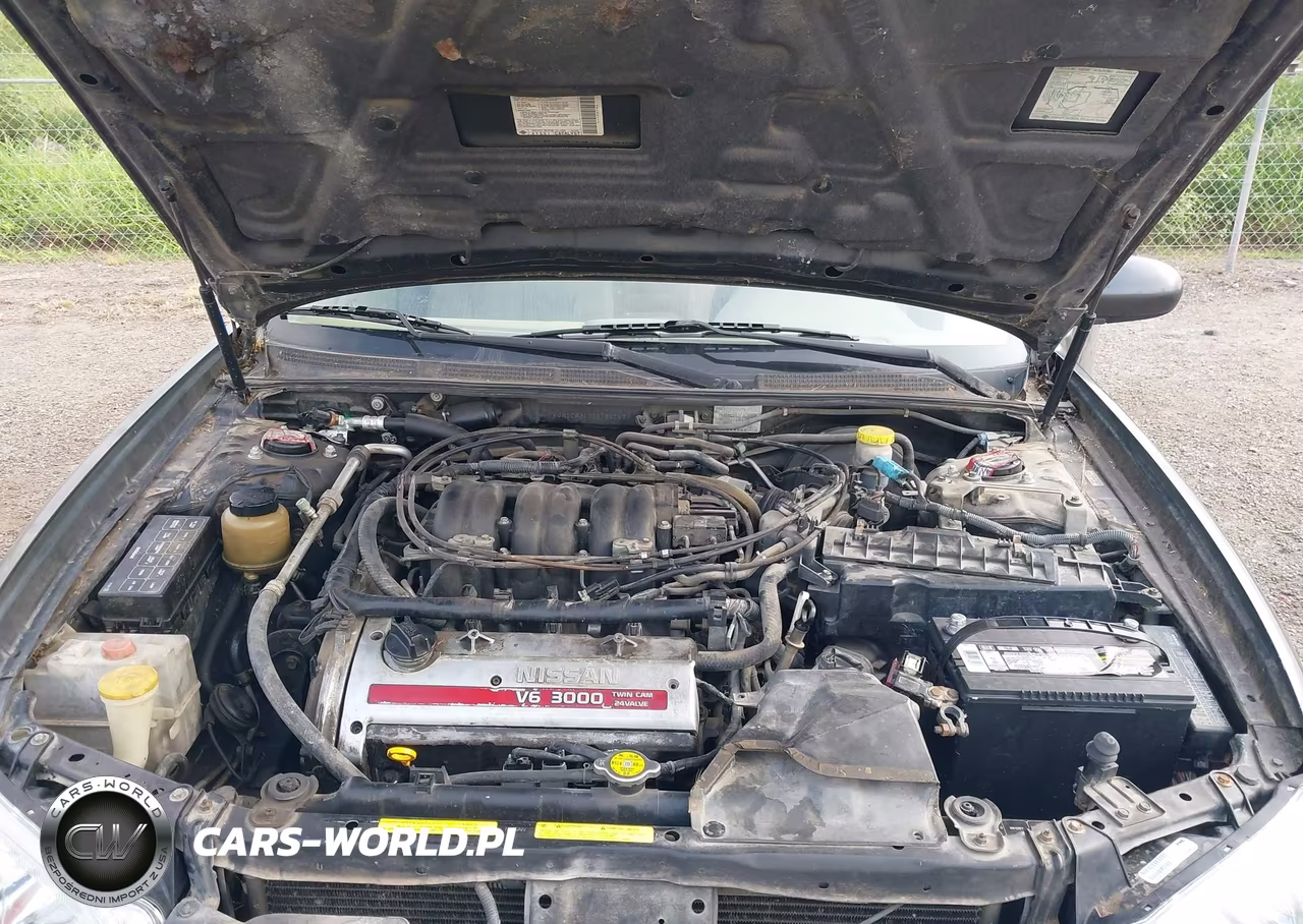 2001 Nissan Maxima Gxe VIN:JN1CA31D21T841673 - 10