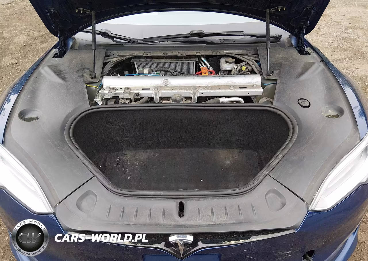 2021 Tesla Model S Long Range Dual Motor All-Wheel Drive VIN:5YJSA1E5XMF428455 - 10