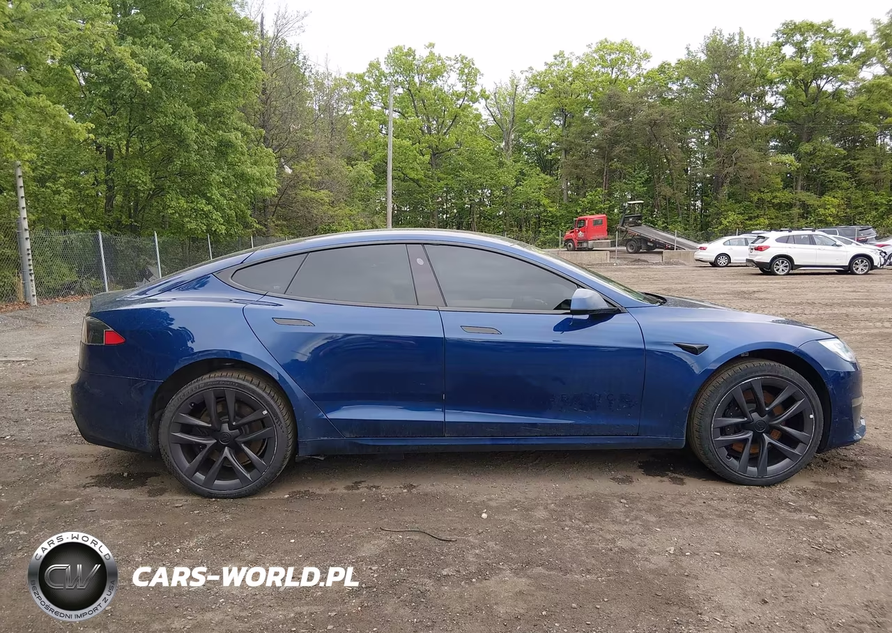 2021 Tesla Model S Long Range Dual Motor All-Wheel Drive VIN:5YJSA1E5XMF428455 - 13