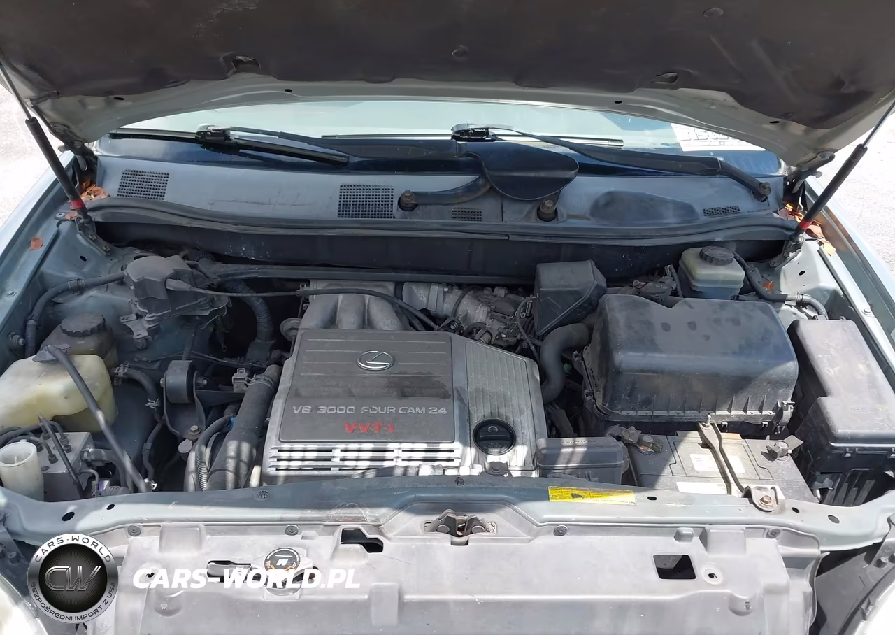 2001 Lexus Rx 300 VIN:JTJGF10U410108187 - 10
