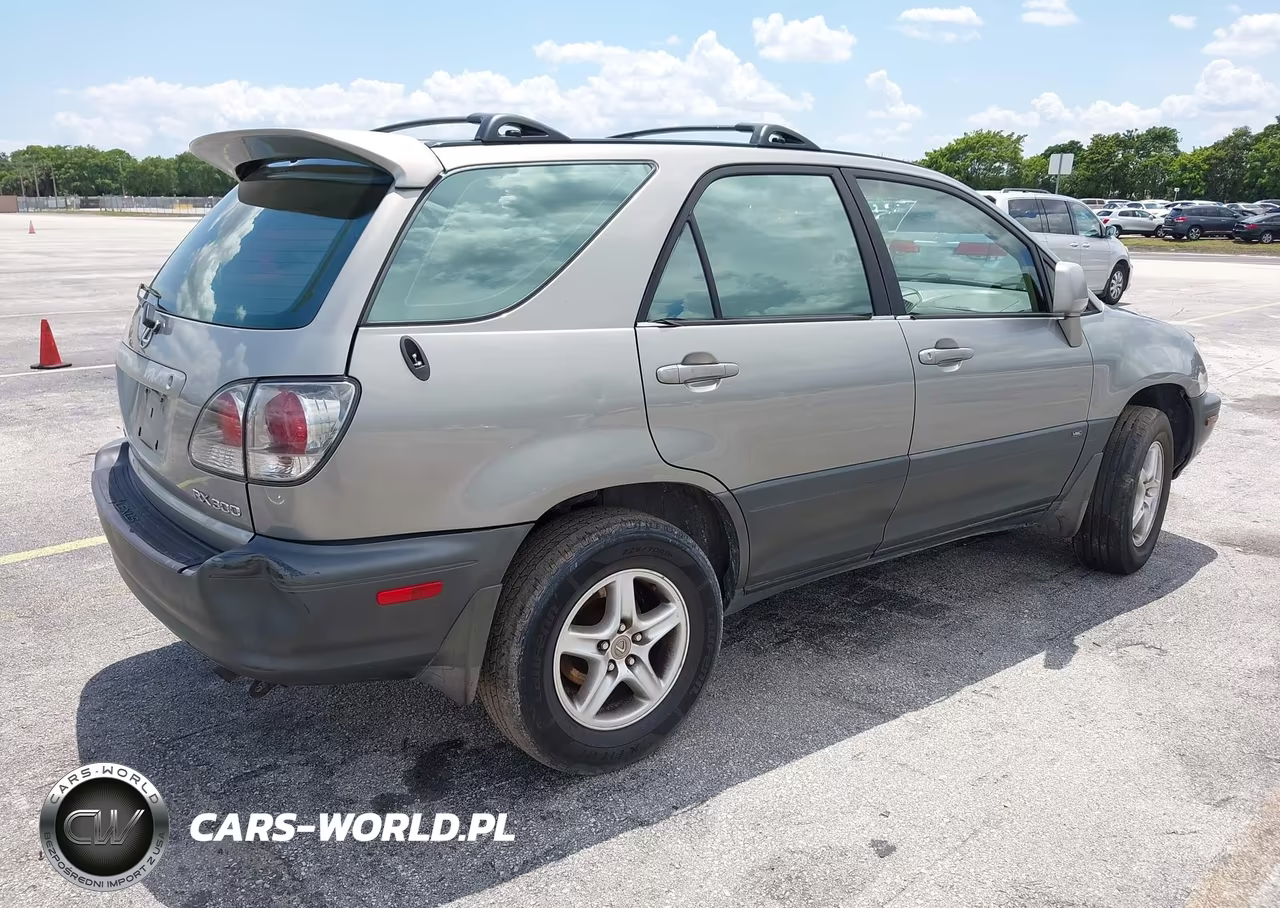 2001 Lexus Rx 300 VIN:JTJGF10U410108187 - 4