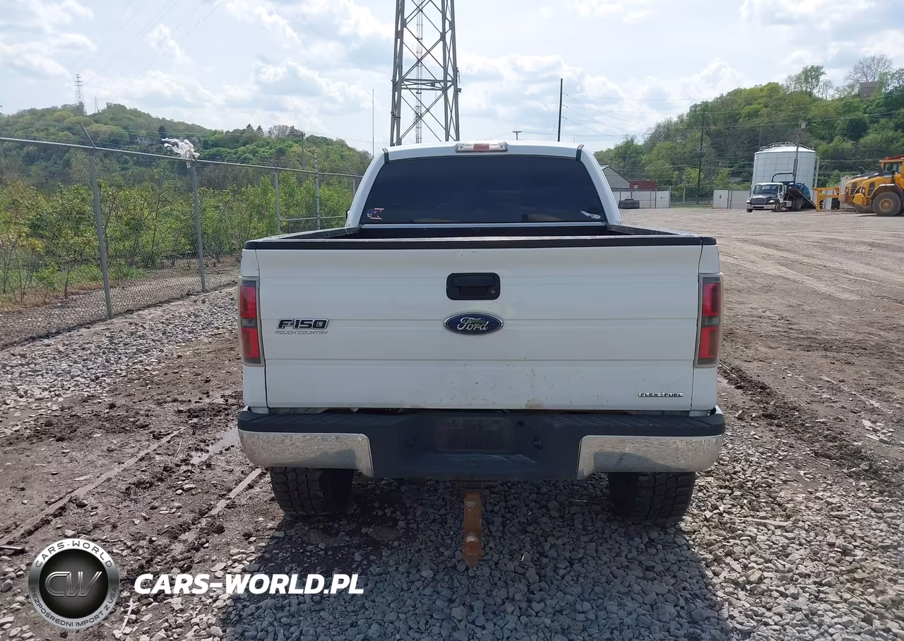 2014 Ford F-150 Xl VIN:1FTFX1EF3EKF27969 - 16