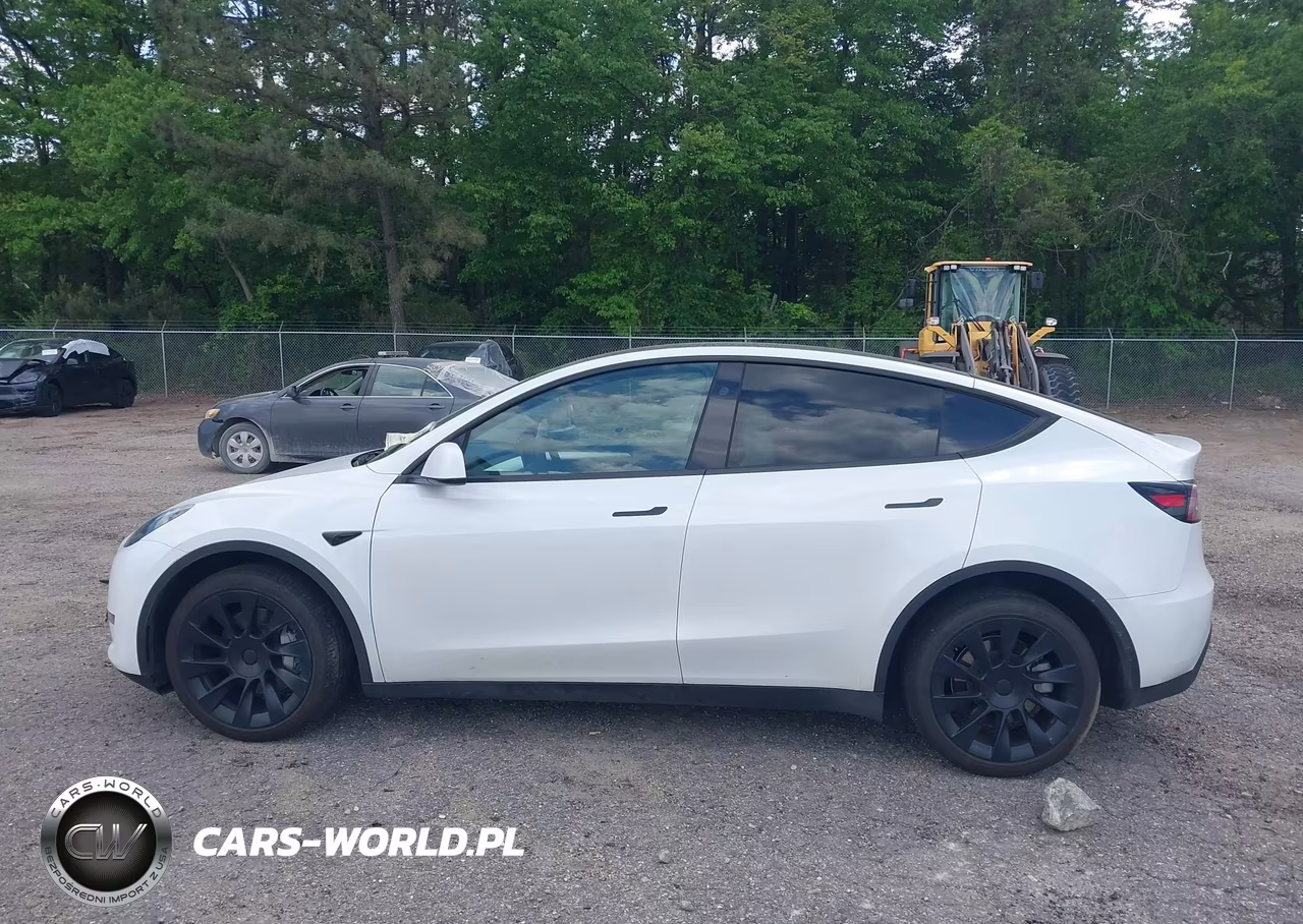 2024 Tesla Model Y Long Range Dual Motor All-Wheel Drive VIN:7SAYGDEE4RA268073 - 14