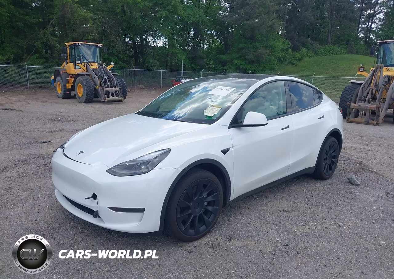 2024 Tesla Model Y Long Range Dual Motor All-Wheel Drive VIN:7SAYGDEE4RA268073 - 2