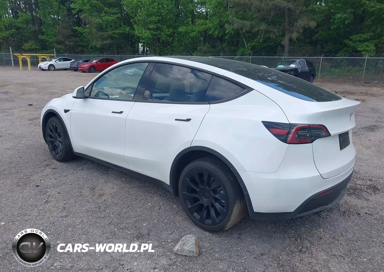 2024 Tesla Model Y Long Range Dual Motor All-Wheel Drive VIN:7SAYGDEE4RA268073 - 3