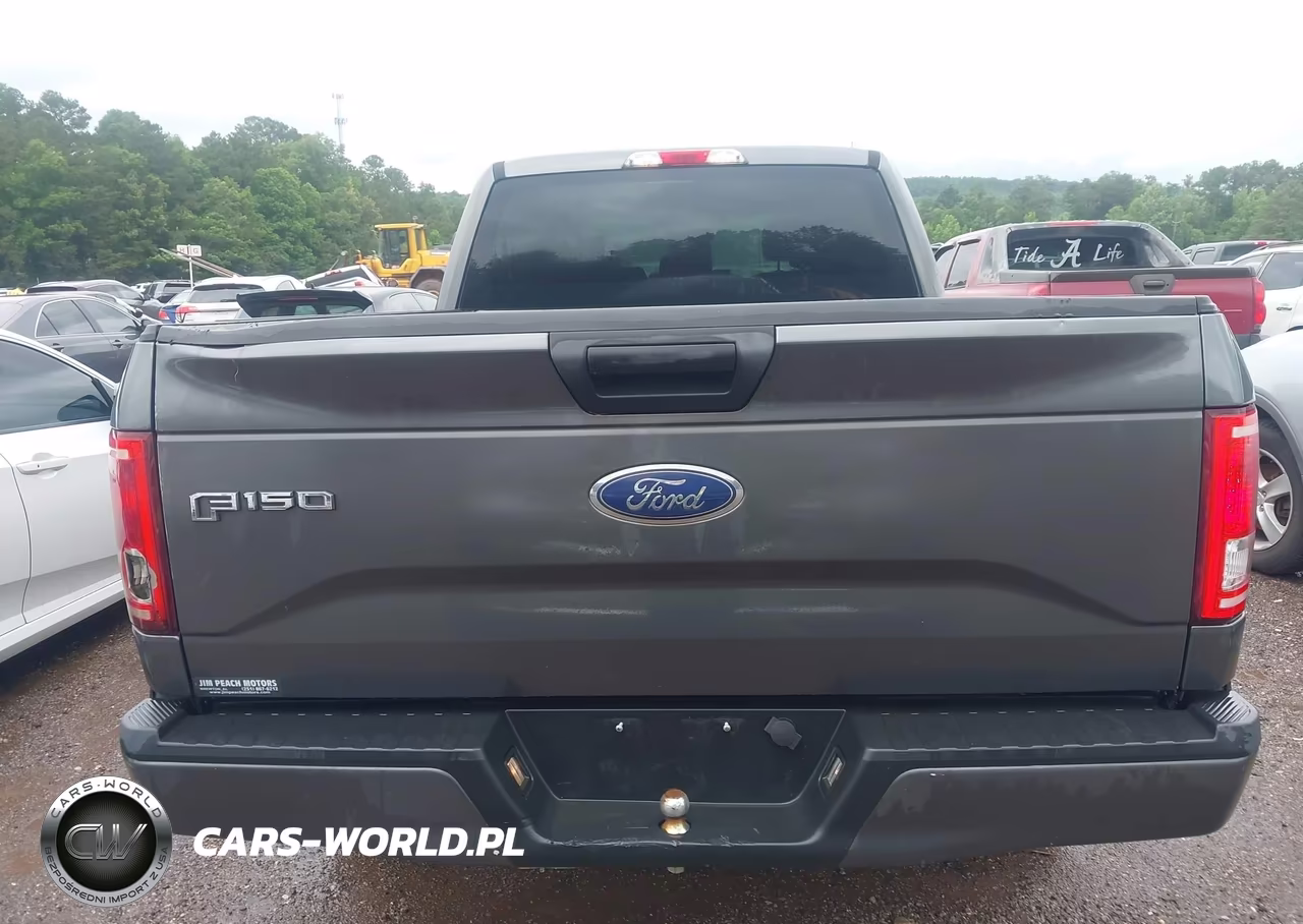 2015 Ford F-150 Xl VIN:1FTEX1EP0FFA68012 - 16